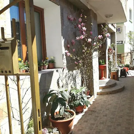 בית הארחה Lambrino פרימורסקו